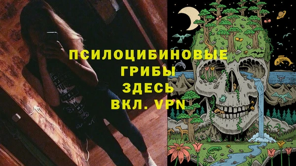 мяу мяу мука Арсеньев