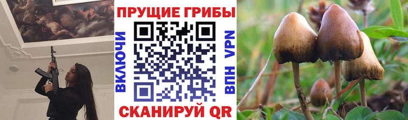 Галлюциногенные грибы MAGIC MUSHROOMS  Петушки 